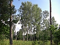 CIMG4286
