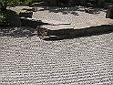 CIMG3859