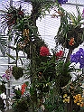 CIMG4152