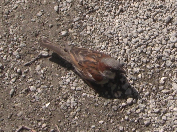 CIMG7716.JPG