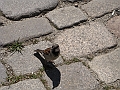 CIMG7658