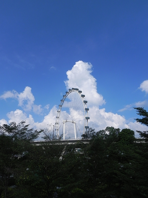 DSCN5362.JPG