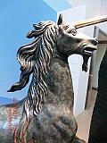 CIMG6298