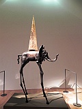 DSCN3370