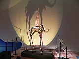 DSCN3372