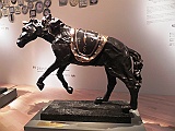 DSCN3374