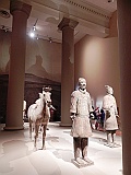 DSCN3616