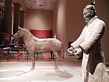 DSCN3618