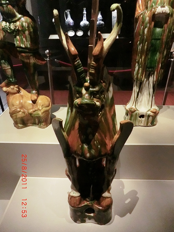 CIMG6594.JPG