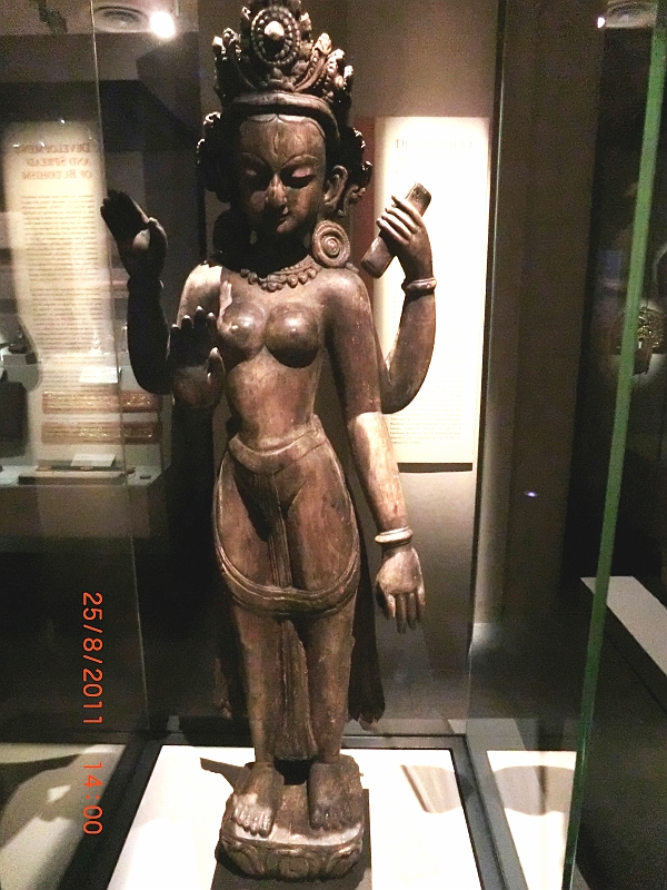 CIMG6640.JPG