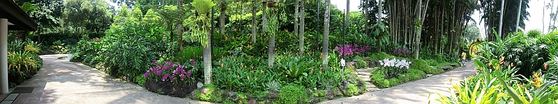 CIMG6521.JPG