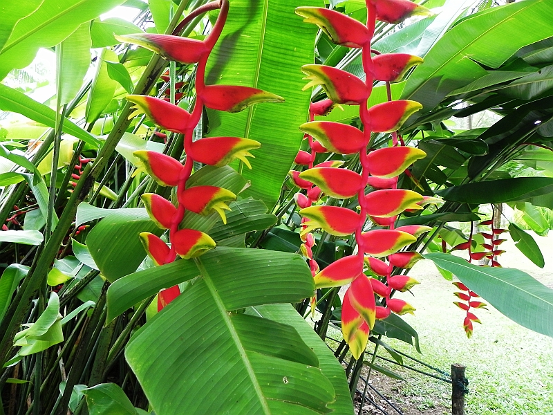 DSCN3451.JPG