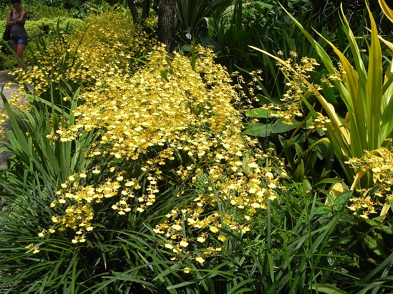 DSCN3460.JPG