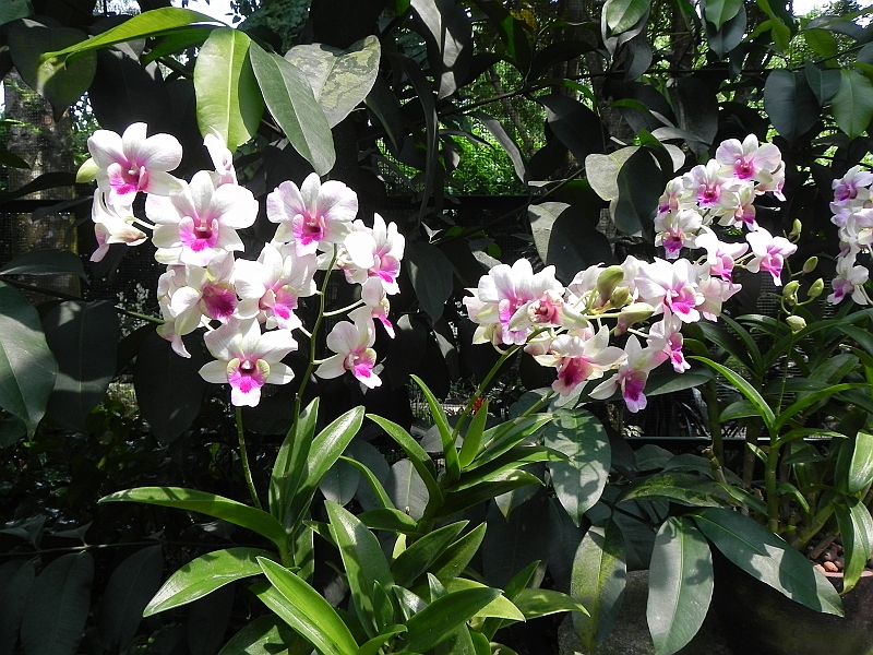 DSCN3464.JPG