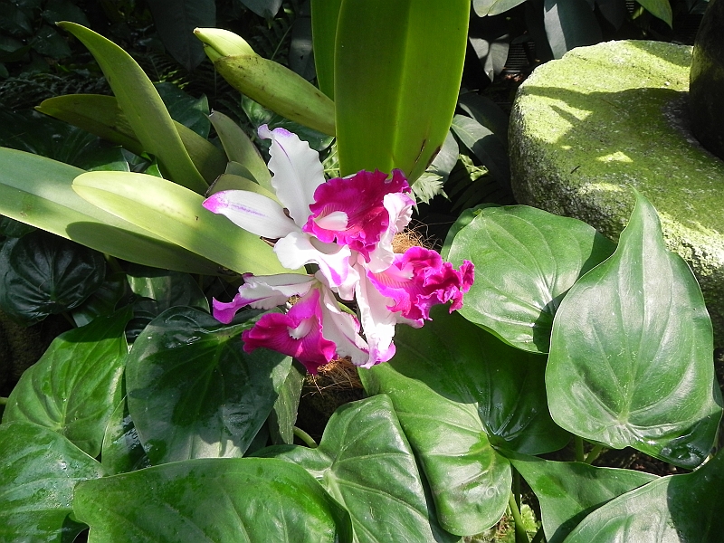 DSCN3465.JPG