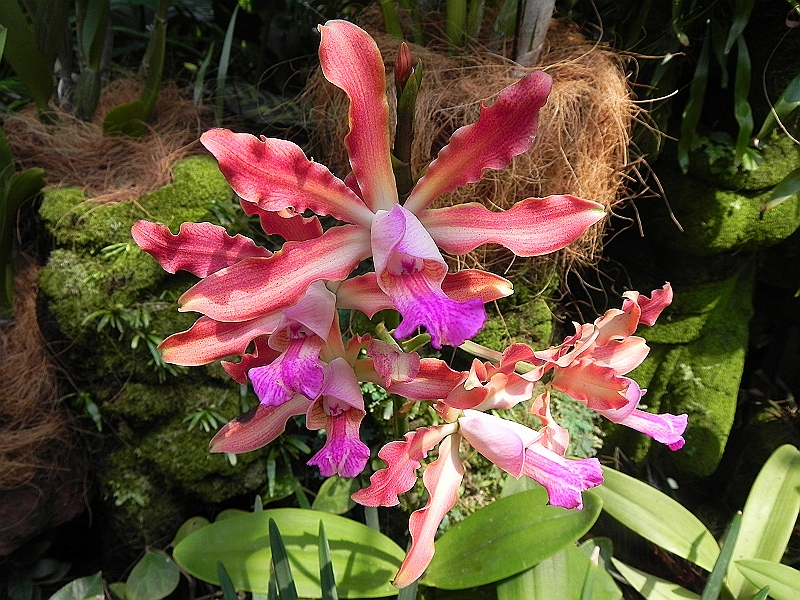 DSCN3468.JPG