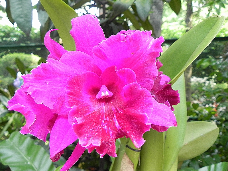 DSCN3469.JPG