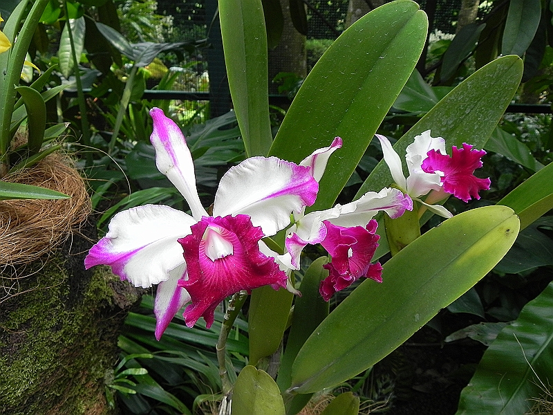 DSCN3471.JPG