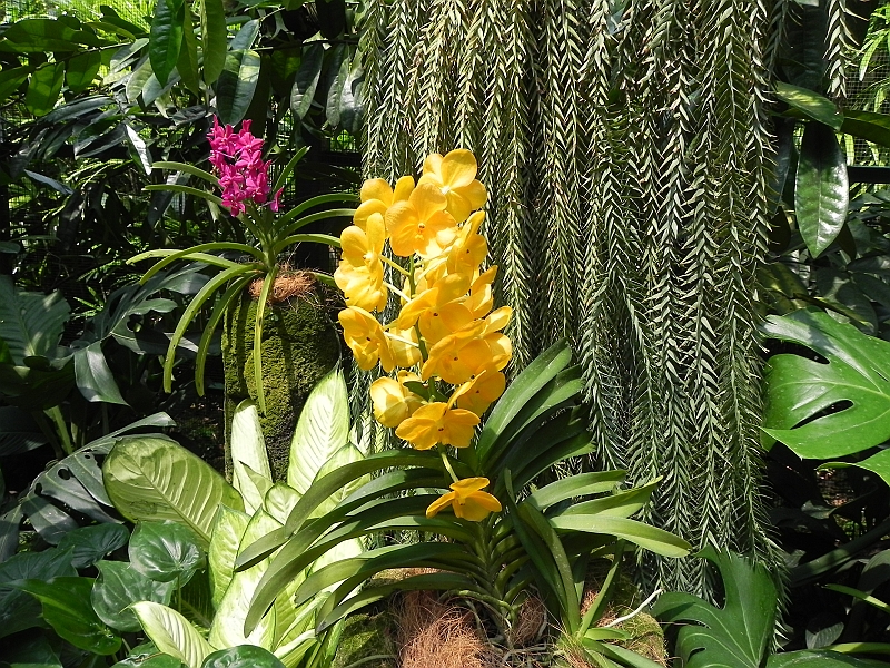 DSCN3473.JPG