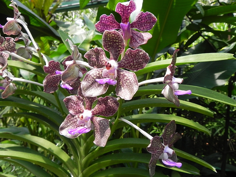DSCN3474.JPG