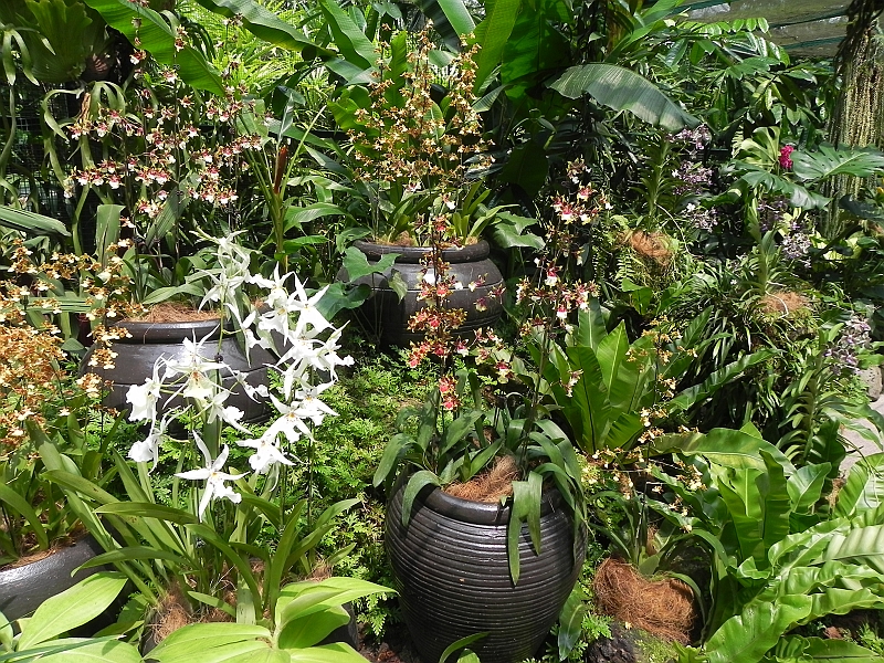 DSCN3476.JPG