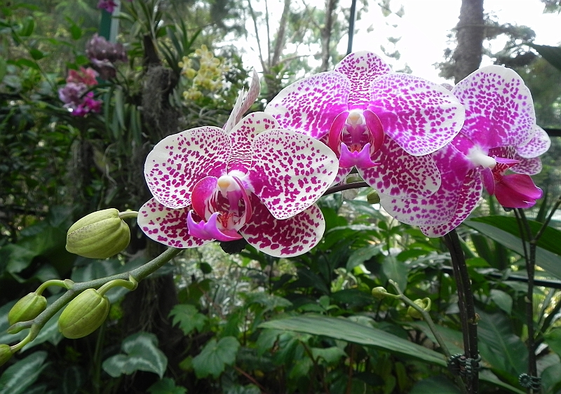 DSCN3494.JPG