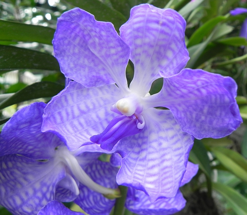 DSCN3497.JPG