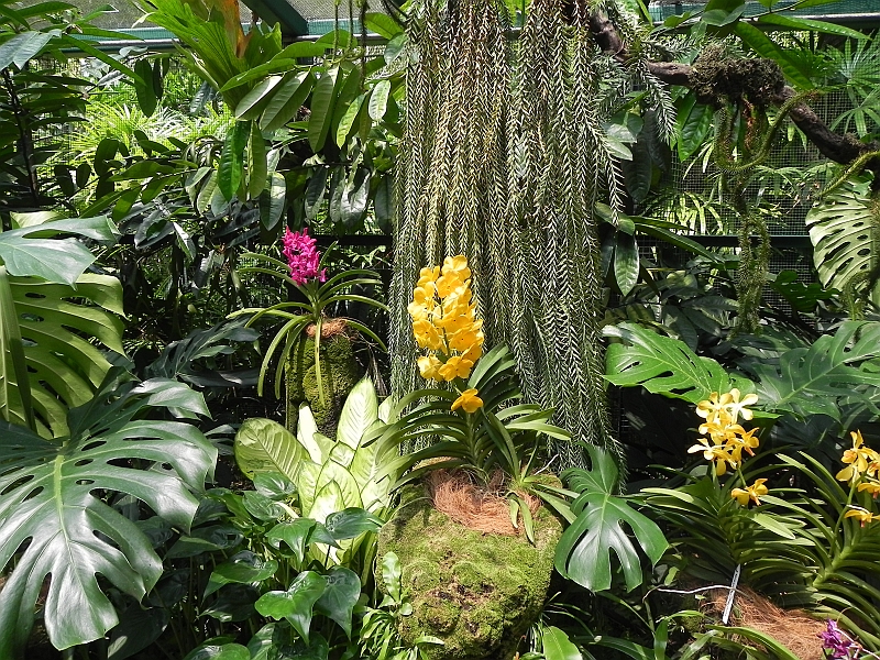DSCN3506.JPG
