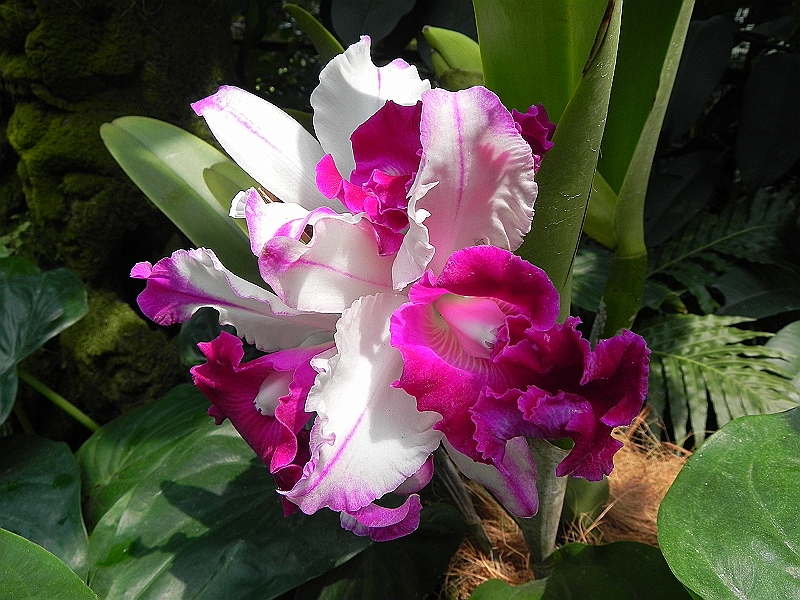 DSCN3508.JPG