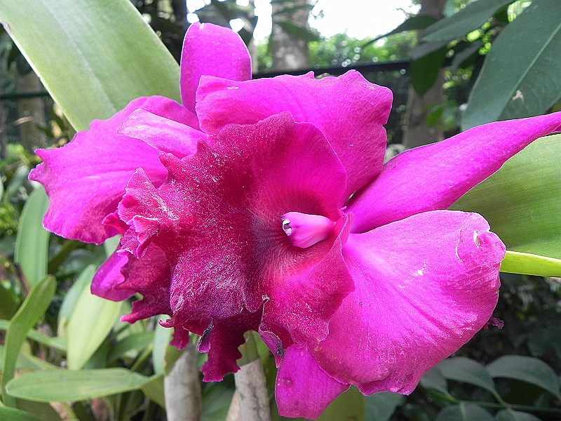 DSCN3509.JPG