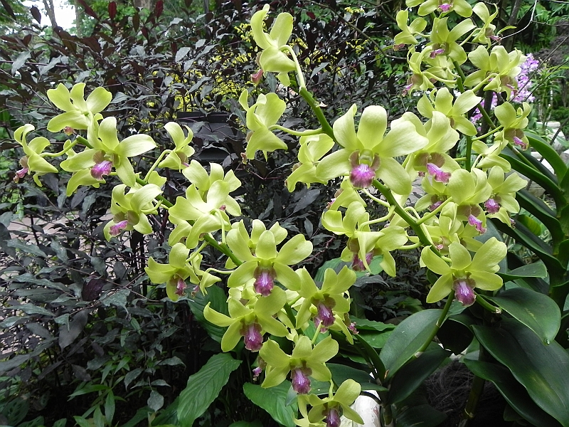 DSCN3511.JPG