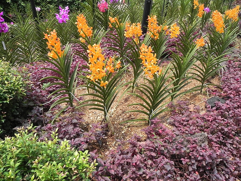 DSCN3528.JPG