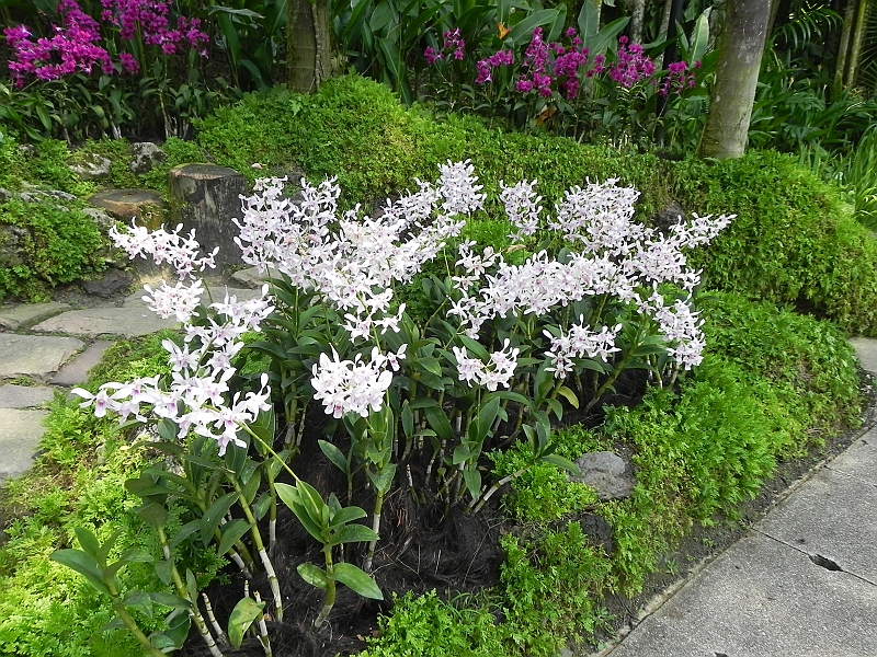 DSCN3550.JPG