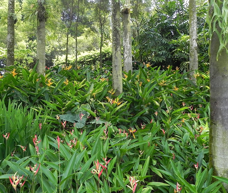DSCN3552.JPG