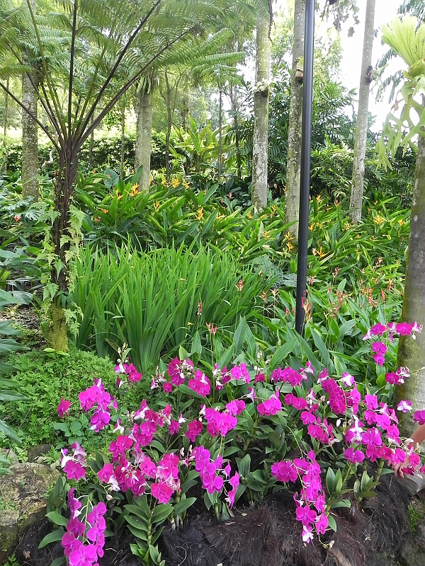DSCN3553.JPG