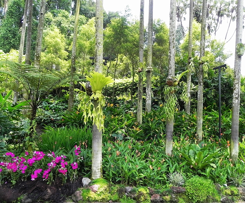 DSCN3559.JPG