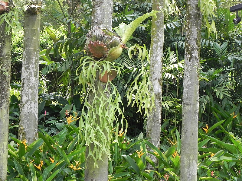 DSCN3561.JPG