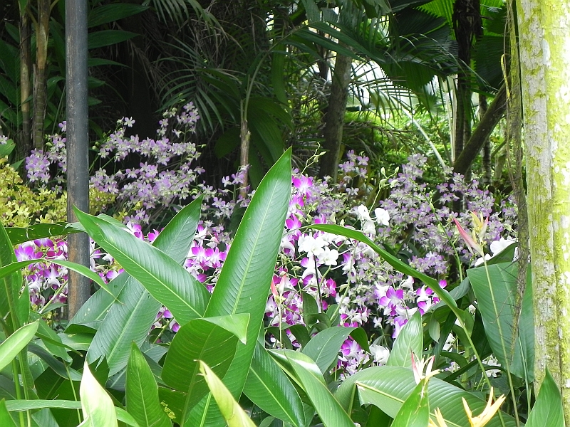 DSCN5261.JPG