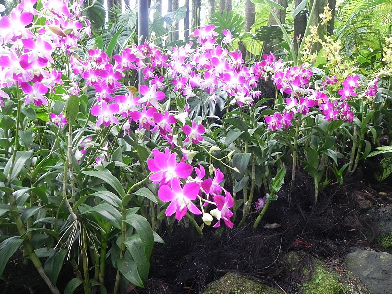 DSCN5269.JPG