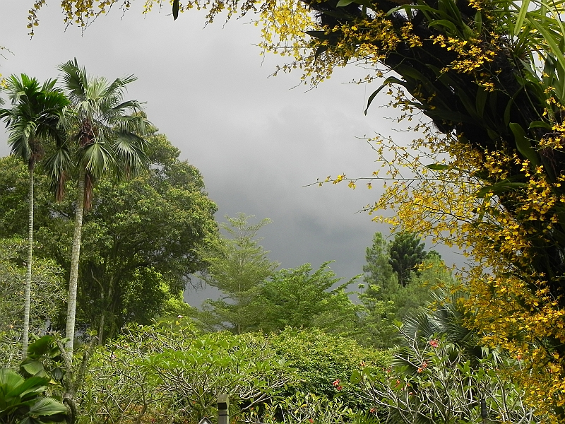 DSCN5275.JPG