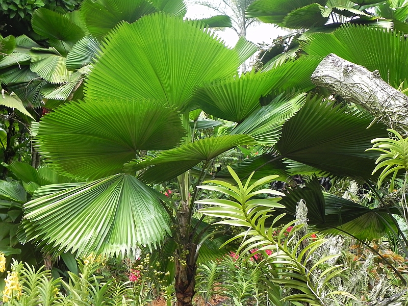 DSCN5280.JPG