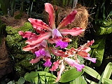 DSCN3468