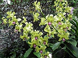 DSCN3511