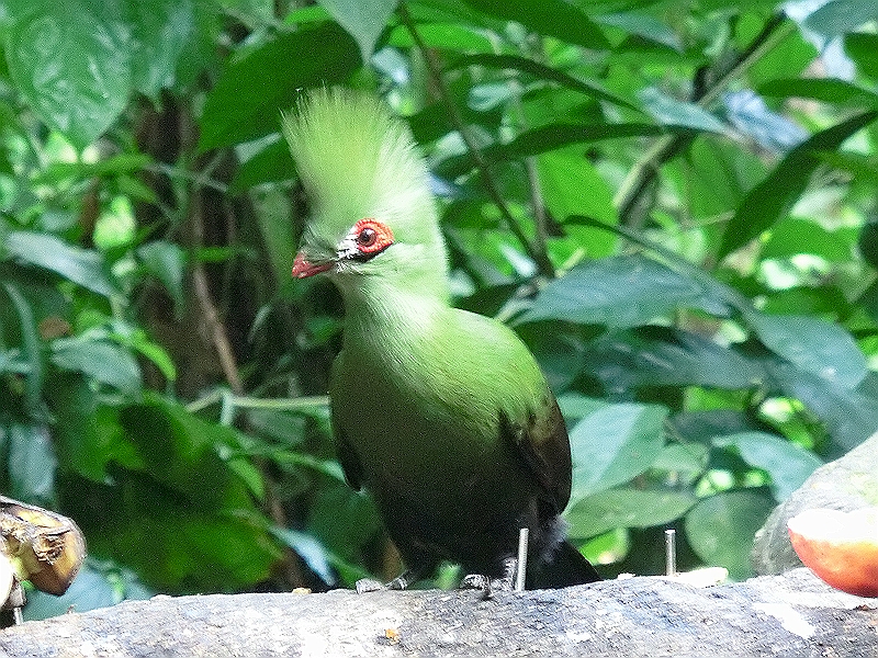 CIMG6659.JPG