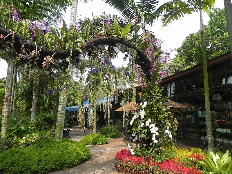 DSCN3675.JPG