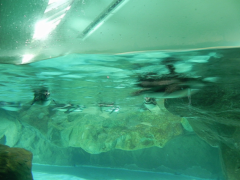 DSCN3676.JPG