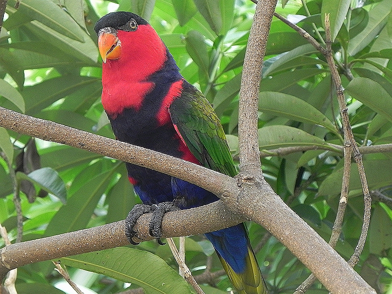 DSCN3712.JPG