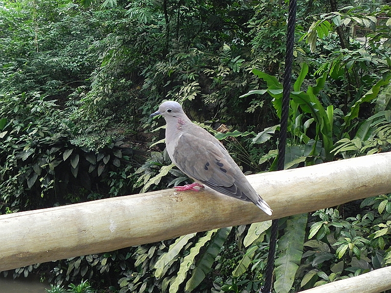 DSCN3732.JPG