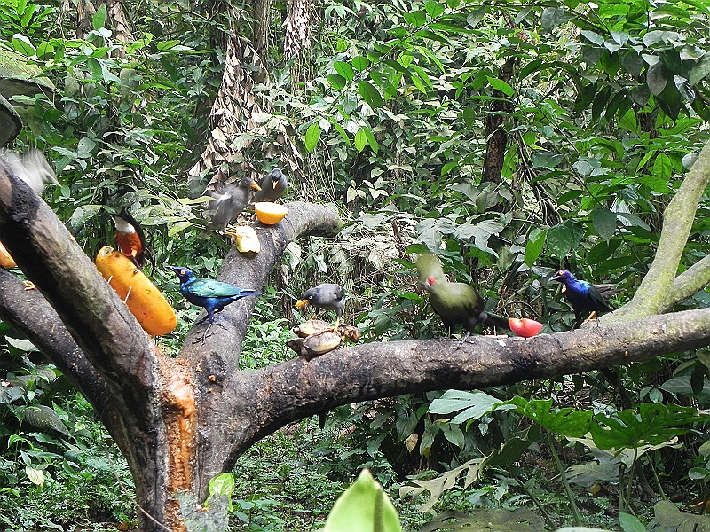 DSCN3736.JPG