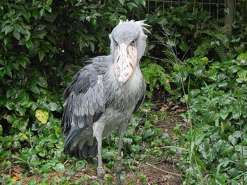 DSCN3742.JPG